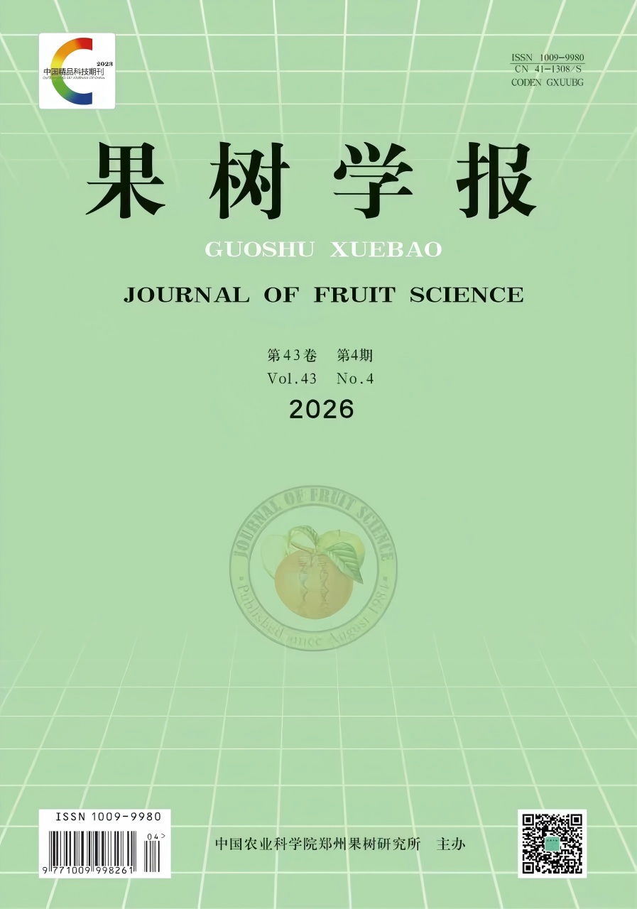 Journal name