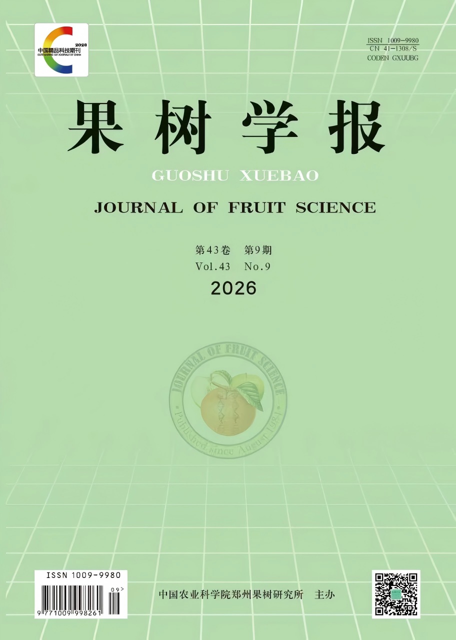 2026 No.9