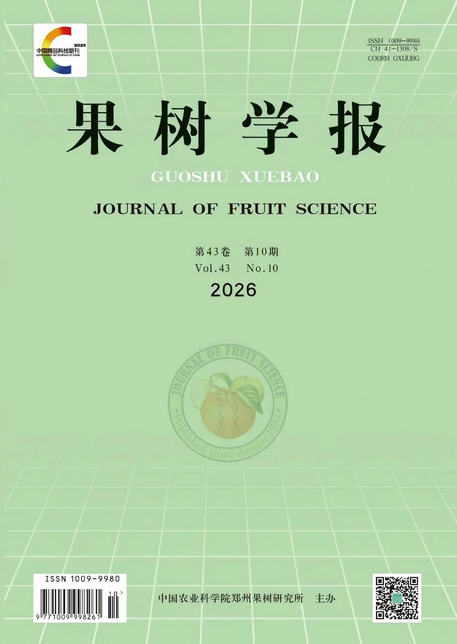 2026年第10期